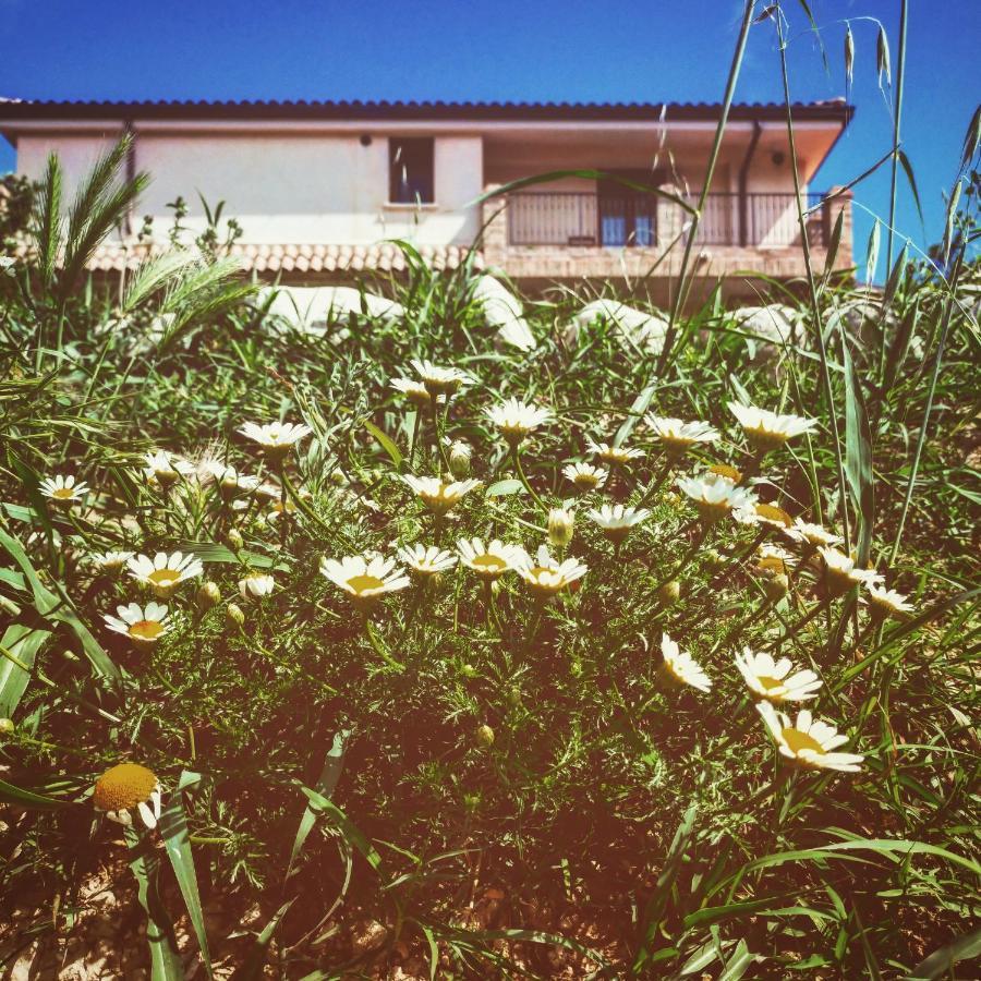 Bed and Breakfast Casale Del Sole Cepagatti Экстерьер фото