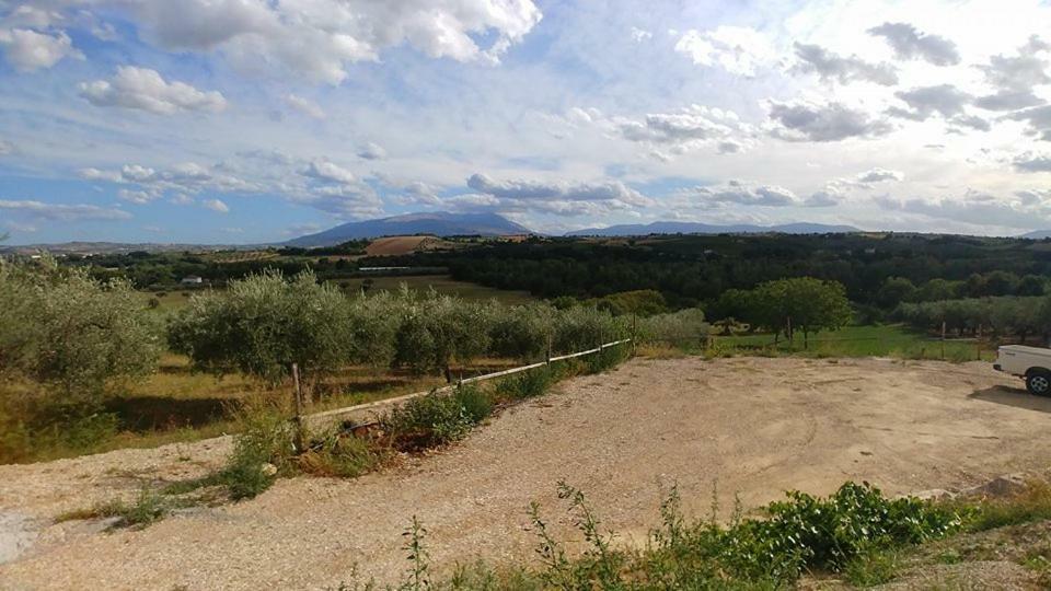 Bed and Breakfast Casale Del Sole Cepagatti Экстерьер фото